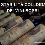 Stabilità colloidale dei vini rossi - Webinar organizzato da Vinidea nel 2017 - Docente : Aude Vernhet – INRA