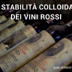 Stabilit colloidale dei vini rossi - Webinar organizzato da Vinidea nel 2017 - Docente : Aude Vernhet  INRA