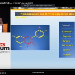 Wine flavonols characteristics, evolution, interactions - Presentation made by Michel Moutounet of INRA Pech Rouge
