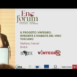 Presentazione del progetto Vintegro ad Enoforum 2019