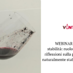 Webinar Gratuito, Stabilità colloidale: ruolo delle proteine e riflessioni sulla produzione di vini naturalmente stabili e più sostenibili