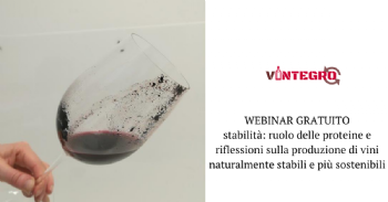Webinar Gratuito, Stabilità colloidale: ruolo delle proteine e riflessioni sulla produzione di vini naturalmente stabili e più sostenibili