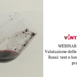Webinar gratuito, Valutazione delle instabilità dei Vini Rossi: test e loro interpretazione pratica