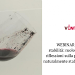 Stabilità colloidale: ruolo delle proteine e riflessioni sulla produzione di vini naturalmente stabili e più sostenibili