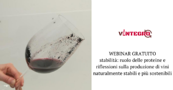 Stabilità colloidale: ruolo delle proteine e riflessioni sulla produzione di vini naturalmente stabili e più sostenibili