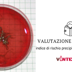 Valutazione della stabilit della Quercetina: trattamenti enologici ed elaborazione di un indice di rischio di precipitazione