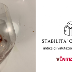 Valutazione dell’instabilità colloidale dei vini rossi