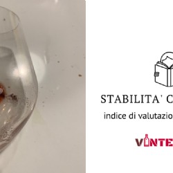 Valutazione dellinstabilit colloidale dei vini rossi