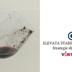 Definizione strategie di produzione vinicola ad elevata stabilit naturale